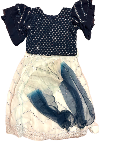 STUNNING TOP,SKIRT WITH DUPATTA